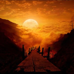 tumblr_mjtqeeXIQI1rbne5oo1_500