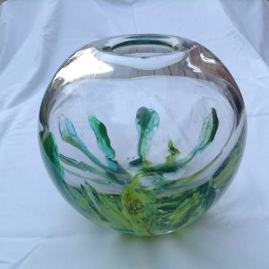 10477069_648110198611580_8576438759267809890_n