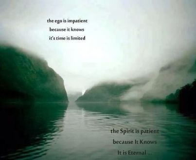 tumblr_n6ocigP4sh1qdj55go1_500