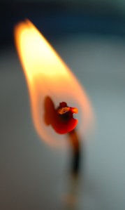 tumblr_mpg04d7NWe1qboy26o1_500