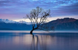 tumblr_nazv9qFpaI1sc613po1_500