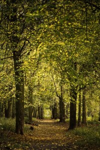 tumblr_ndpclbb8Tr1sdmbk5o1_500 (1)