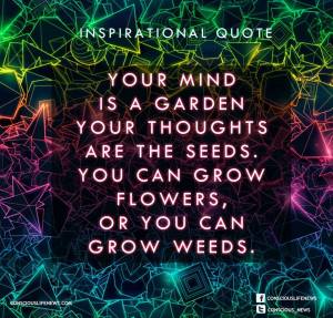 10897005_835186253193615_6270755632680557469_n