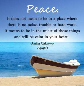 1743708_1040800269279762_1917241076774745097_n