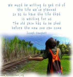 10403532_855845004461073_2933946000873328570_n