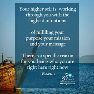 10981356_872189352822748_3642214420733725553_n