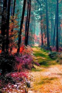 tumblr_njm4vofl1E1rzusgoo1_500