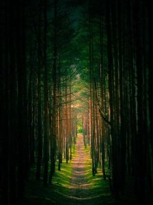 c098a1cd323966ad53a23e8eb6c410d5