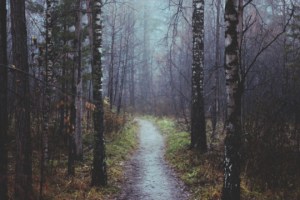 tumblr_nhdcc0RWgO1u3uzjzo2_540