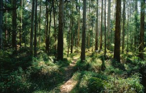 tumblr_nlhzpmHSqZ1qfvypwo1_540