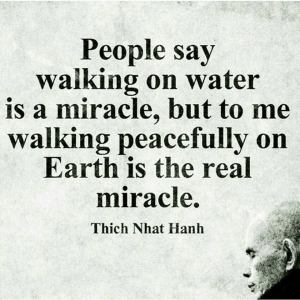 11228903_10153463939948490_8414793302124225777_n