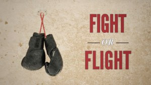 fight-or-flight