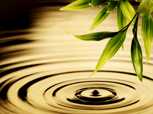 Relationships-Co-Creation-Unification-and-Ripples-In-The-Pond--300x225