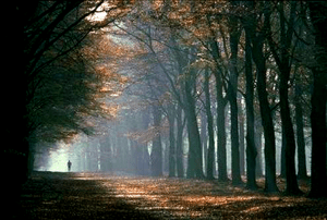 1344f21c38e010b42fc9c191ba1766c75cd8f6a0