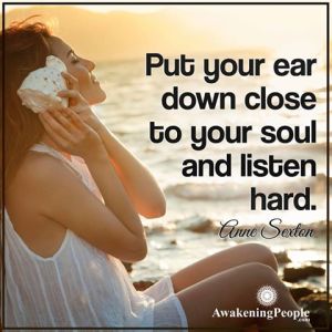 12744366_1142090949137535_2971735089238720459_n