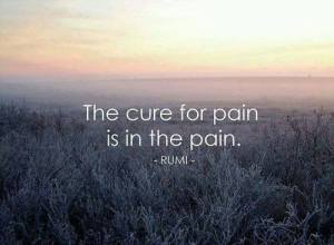 12140687_10156691156480385_5538667469454275264_n