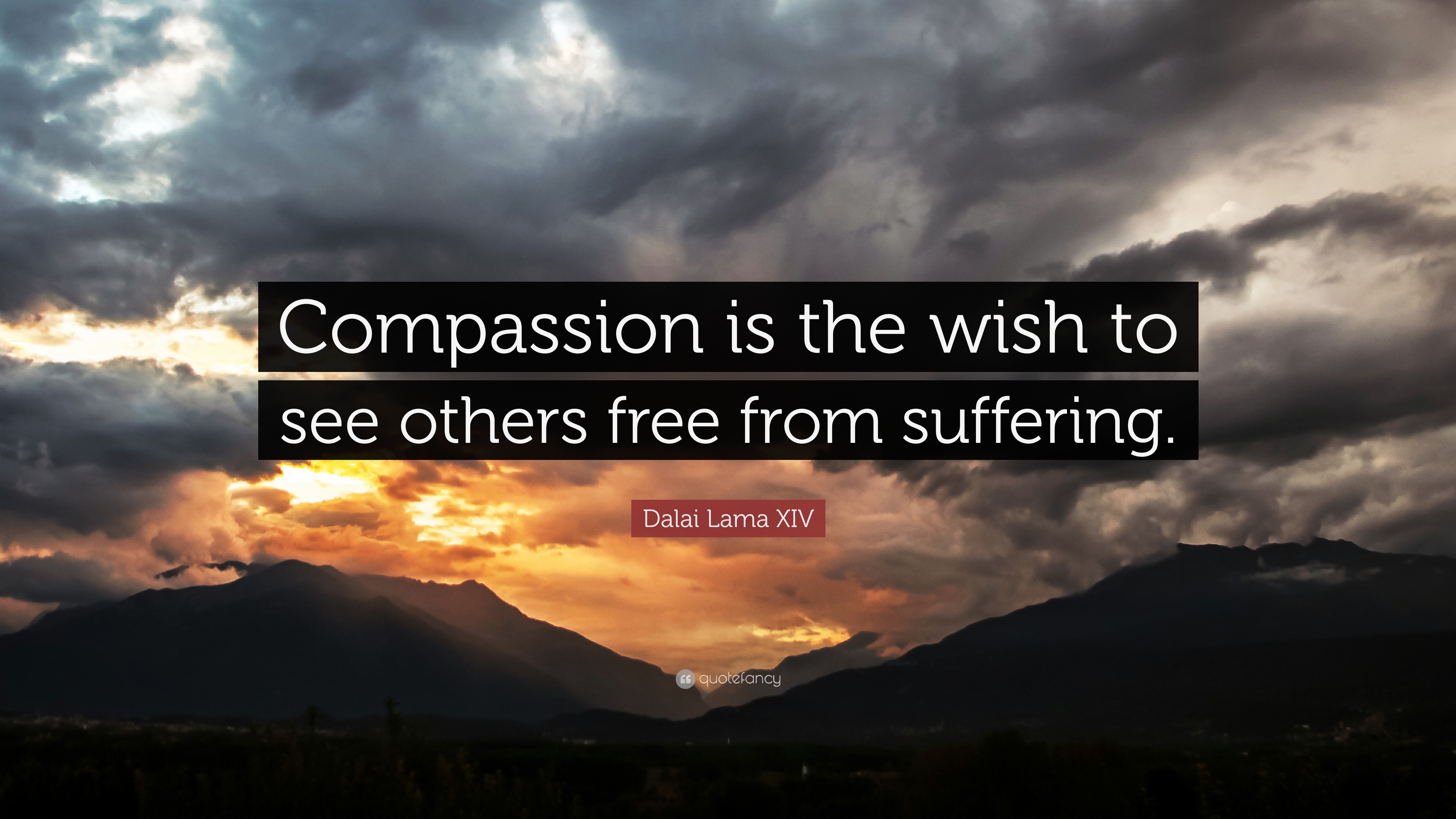 3863-Dalai-Lama-XIV-Quote-Compassion-is-the-wish-to-see-others-free