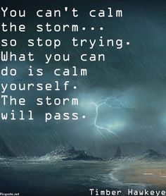 you-can-t-calm-the-storm-so-stop-trying-what-you-can-do-is-calm-35gVrQ-quote