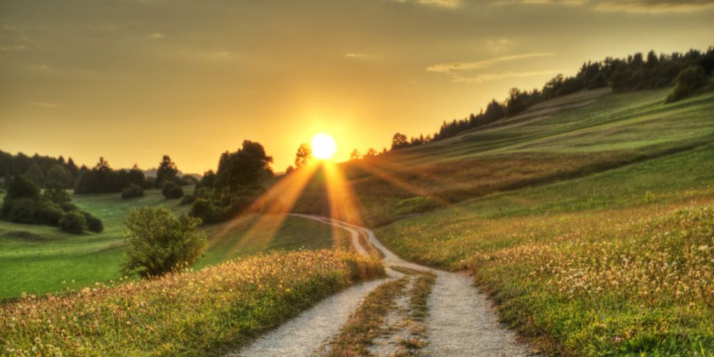 07601d83d820689effaab63b801770079818086876262d69e77ff593686f9d2b_large