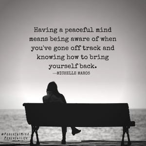 18447219_1403847572987451_3509533624455228077_n