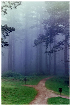 0F8541EA-5B1D-4607-944C-BE1523C43809